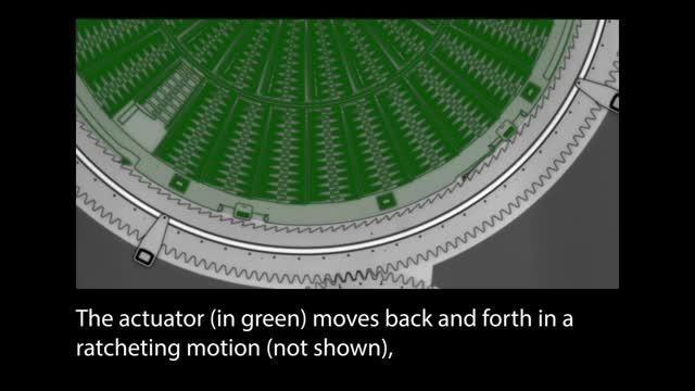 Tiny Gears: Resolving the Fine-Scale Motion of MEMS