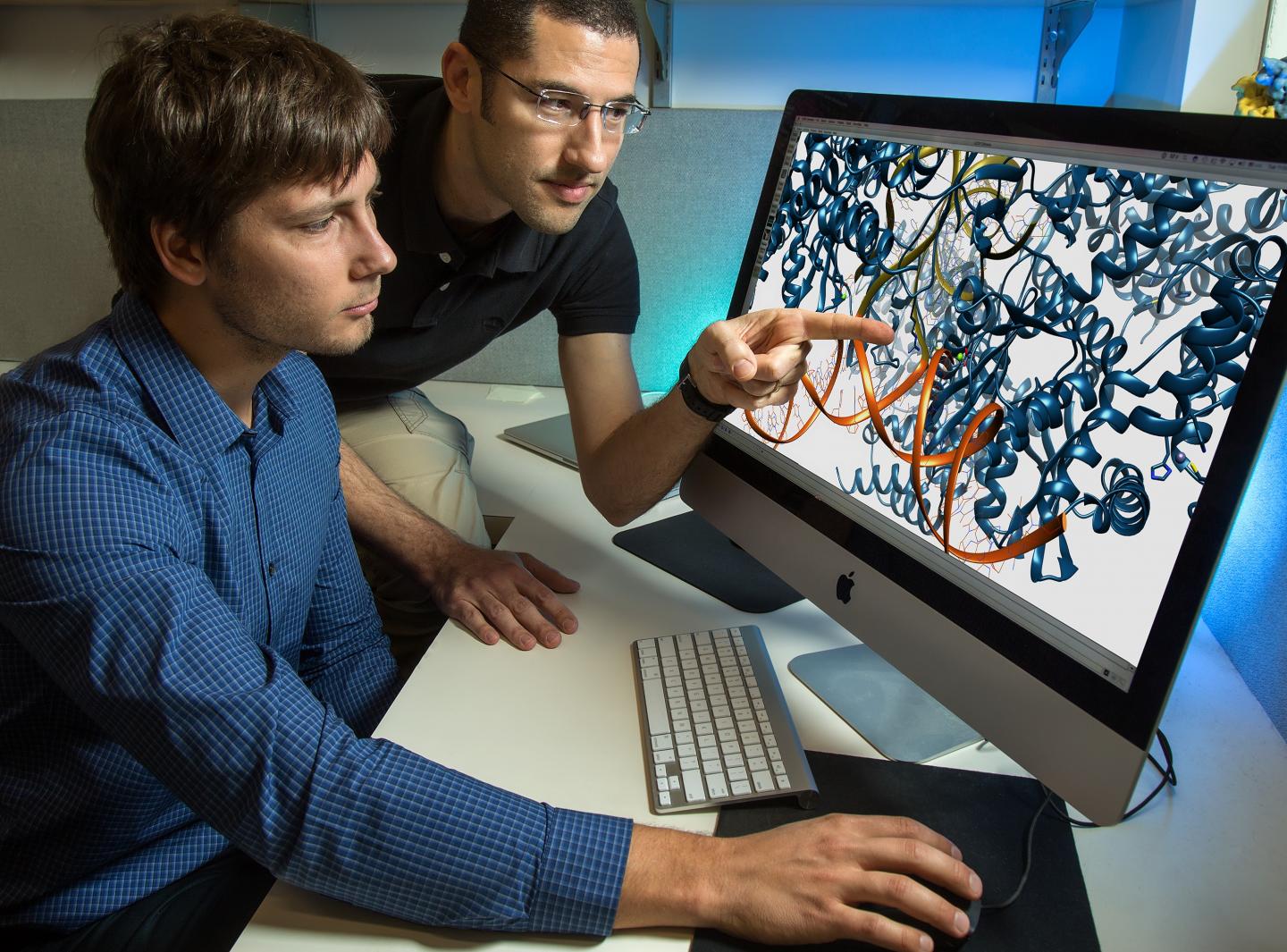 Salk Scientists Crack the Structure of HIV Machinery (2 of 2)