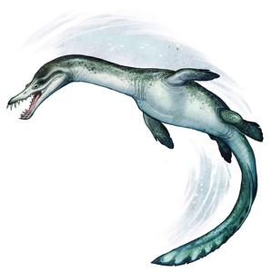 Reconstruction of the New Zealand nothosaur. The oldest sea-going reptile from the Southern Hemisphere.