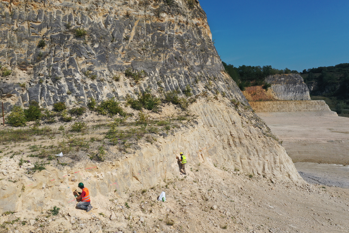 Geologists of the Vrije Universiteit Brussel and KU Leuven in action in the former ENCI quarry (photo: Pim Kaskes).