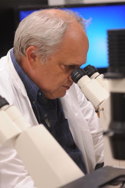 Andrew Mount, Clemson University