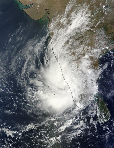 MODIS Image of 91B