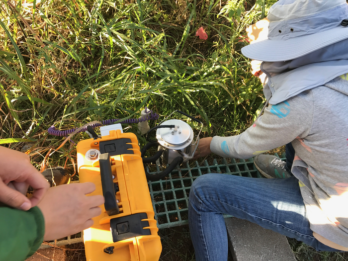 Researchers collecting samples from a grassland site.