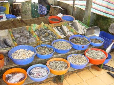 Fish Market in Kochi, Kerala, India