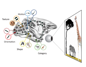 Image processing