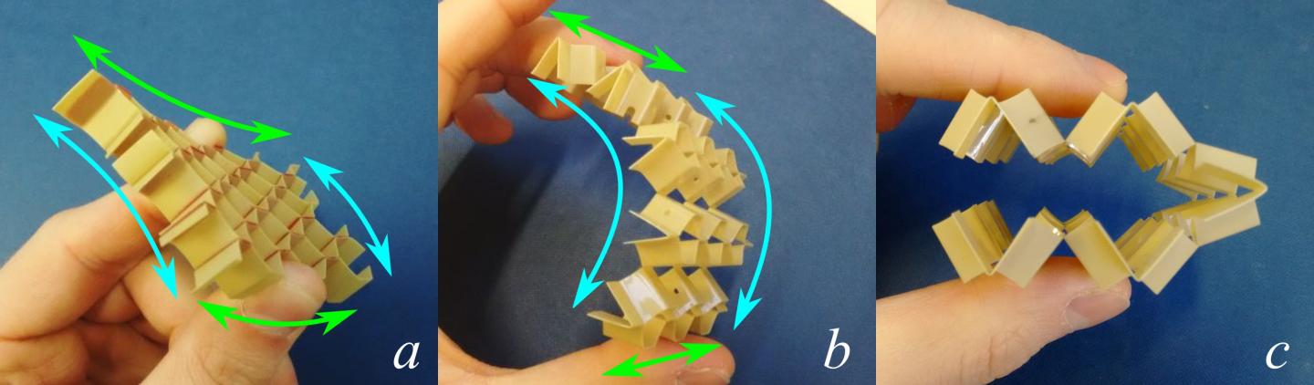 Shape shifting. Changing Shapes.