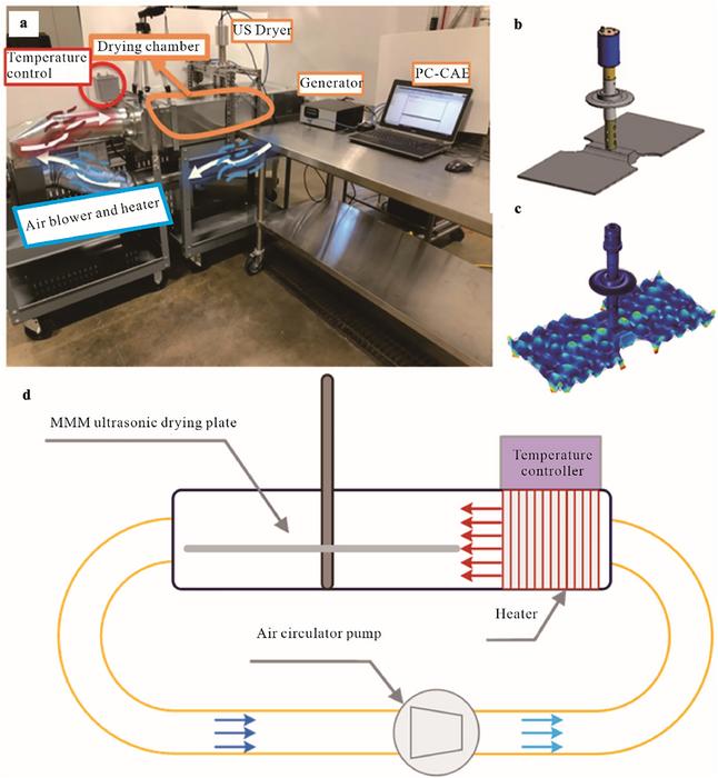 Ultrasound Technology Accelerates Drying of Renewable Cellulose Nanocrystals