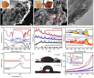 Synthesis and characterization of γ-FeOOH/KGM(Ga)/PNIPAM thermosensitive hydrogel.