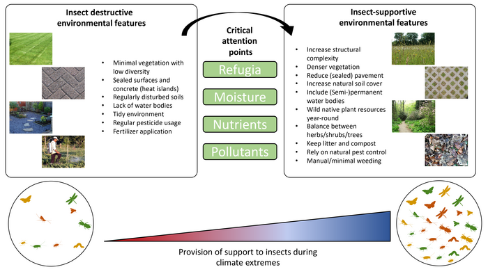 Solutions for impacted insects