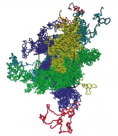 DNA Computer Simulation