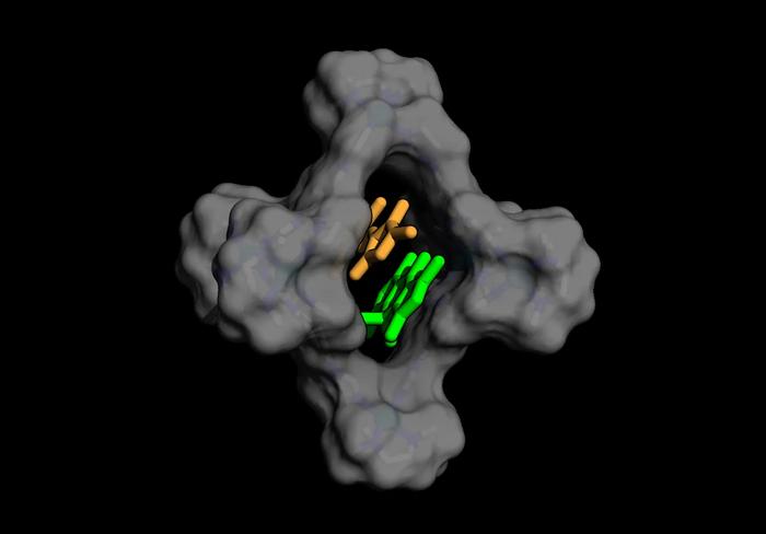 Disequilibration by sensitization under confinement (DESC)