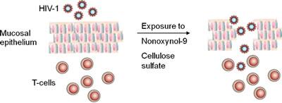 Epithelial Cell Structure