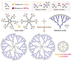 Synthesis of supramolecular capsules composed of core units and dendron units