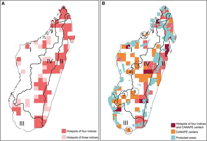 Diversity hotspots, centers of phylogenetic endemism, and conservation gaps for Malagasy vascular plants