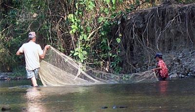 Studying Biodiversity