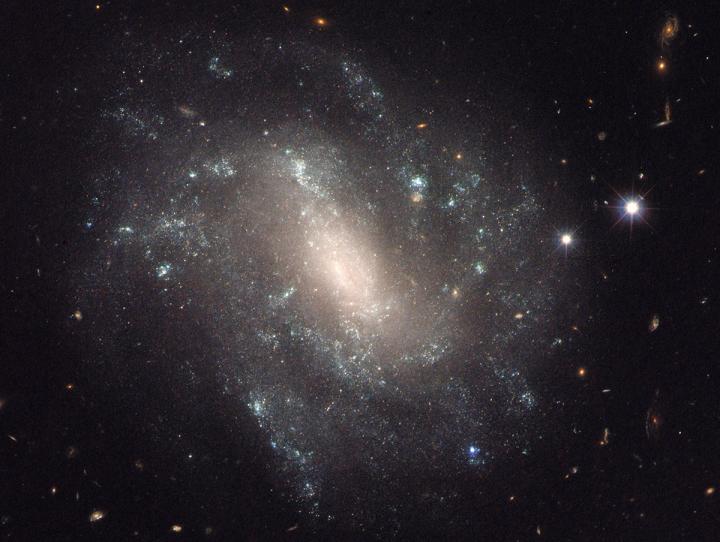 Hubble Spots Cepheid Variable Stars in Nearby Galaxy
