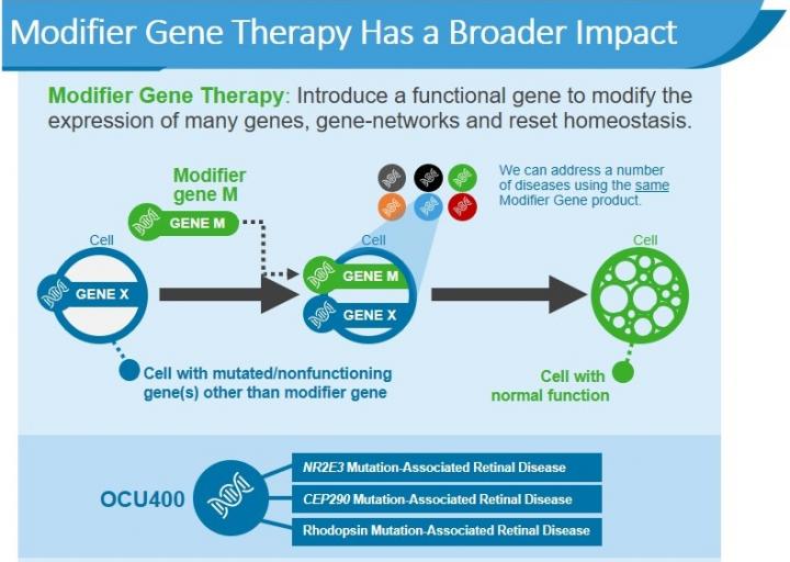 Ocugen Modifier Gene Therapy Platform