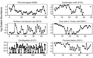 Population dynamics