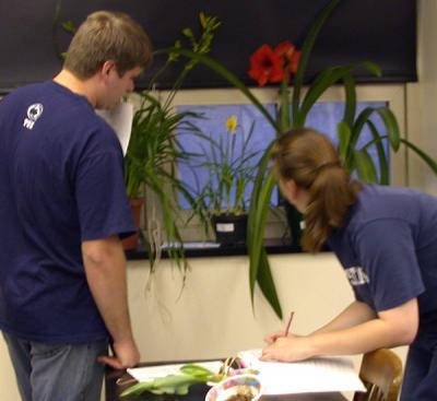 Teamwork Increases Learning