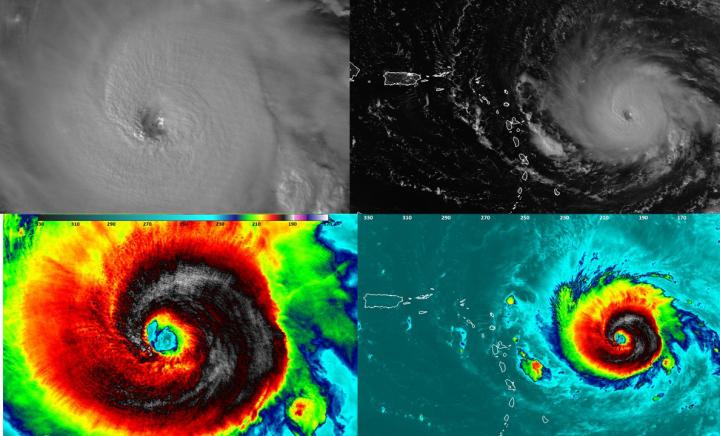 Suomi NPP Image Collage of Irma