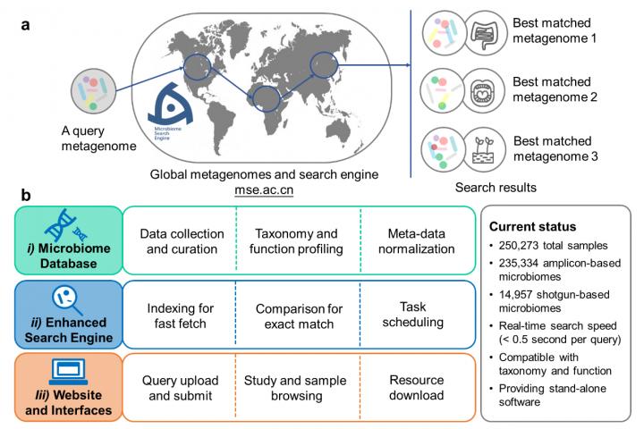 Design of the Microbiome Search Engine 2 (MSE 2)