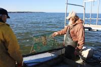 Removing Derelict Fishing Gear in North Carolina