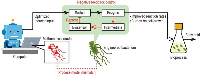 Overview of the proposed hybrid in silico/in-cell controller (HISICC).