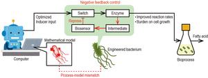 Overview of the proposed hybrid in silico/in-cell controller (HISICC).