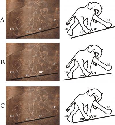 A Prehistoric Elephant Depiction