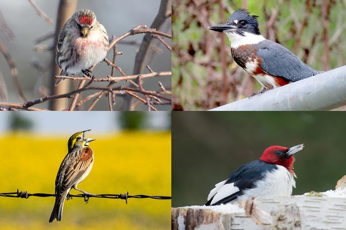 Management practices make a difference