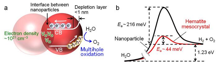 図３．ヘマタイトメソ結晶における光水分解のメカニズム