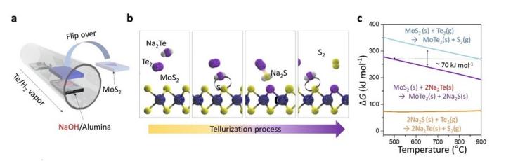 Fig. 1 New tellurization Process for MoS2