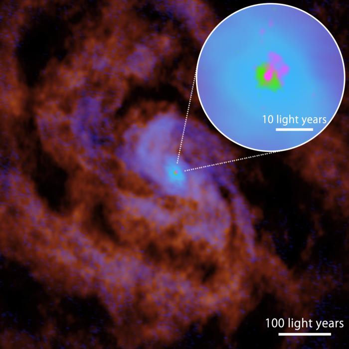 The central region of the Circinus Galaxy observed with ALMA