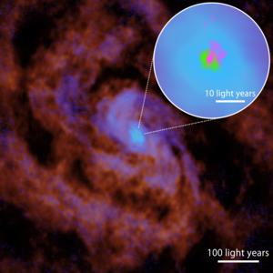 The central region of the Circinus Galaxy observed with ALMA