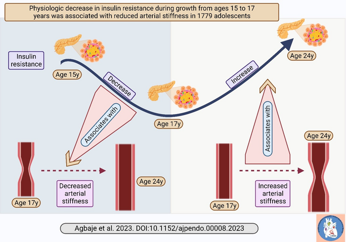 Natural drop in insulin resistance in mid-adolescence protects against worsening arterial stiffness if sustained