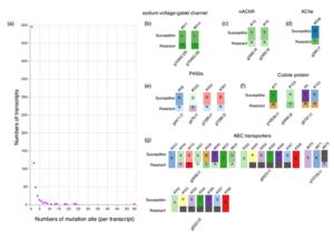 Transcripts with mutations in the resistant bed bugs