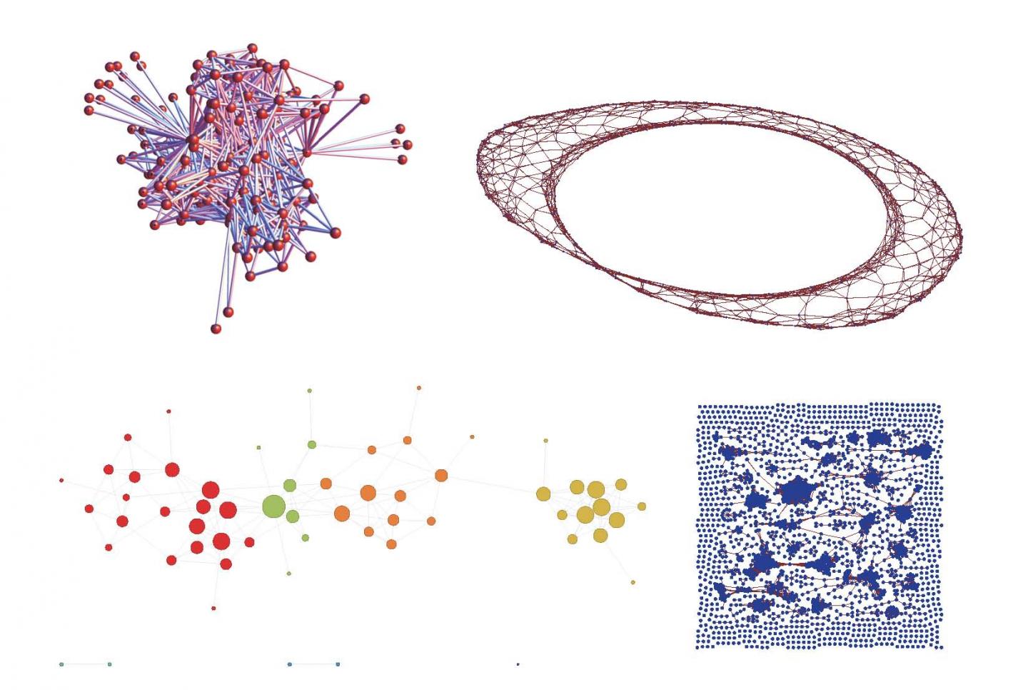 Example Complex Networks