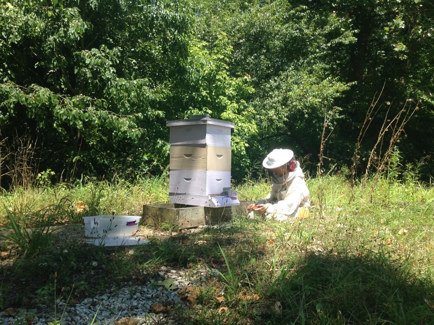 Reaching Beyond the Mouse