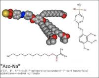 The Molecules in Question with the Working Names A-Na and Azo-Na (2 of 2)