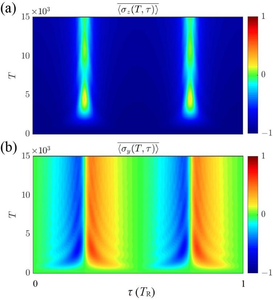 Figure 2 | The evolution of averaged spin polarization