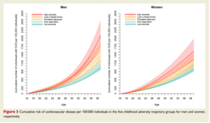 Adversity in childhood is linked to increased risk of heart and blood vessel diseases in early adulthood