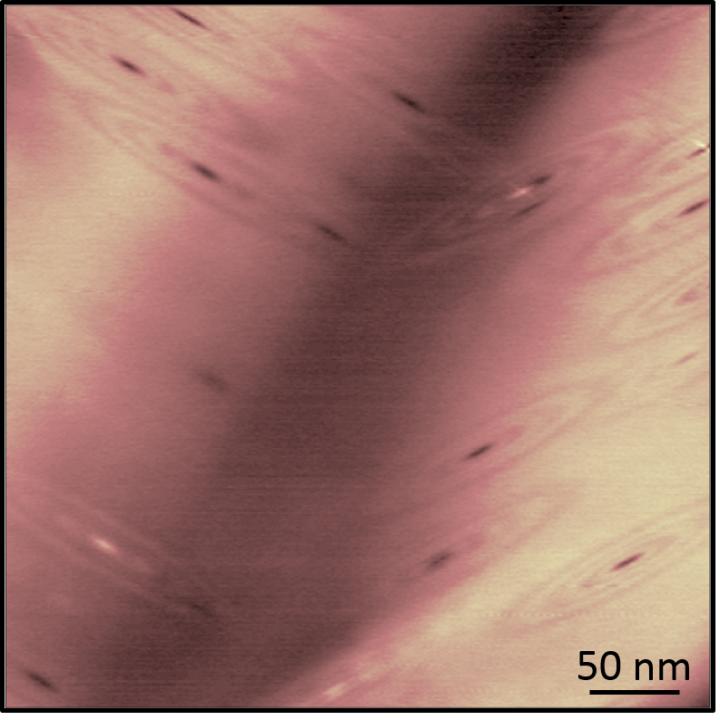 Conducting Channels Visualized With Microscope