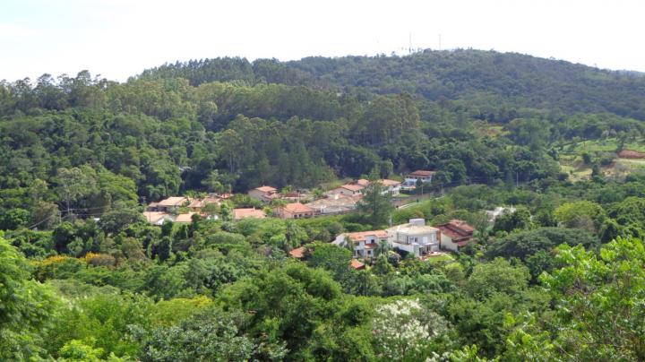 Study Tracks leishmaniasis in Dogs, Wild Animals and Sand Flies in Brazil