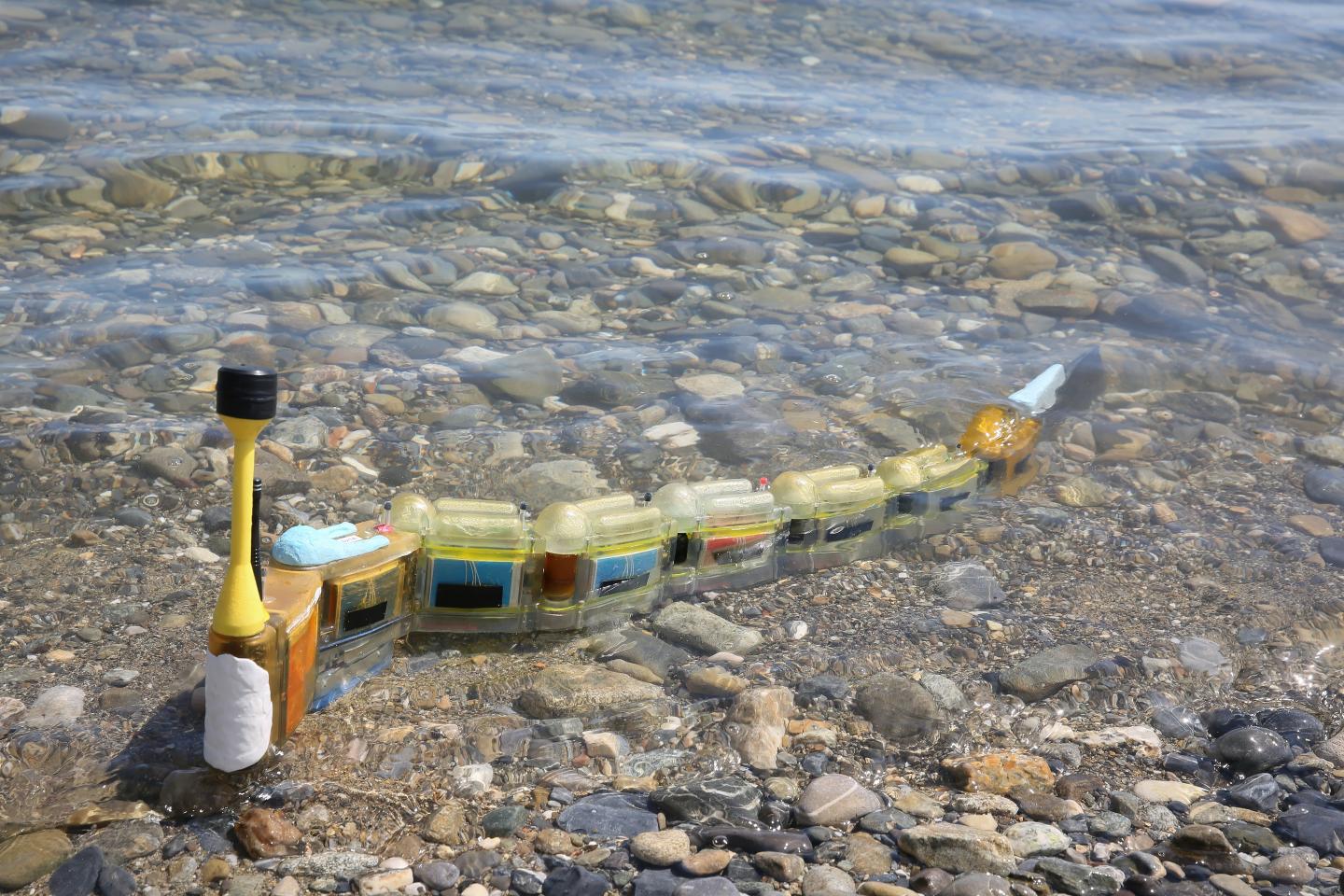 Pinpointing Sources of Water Pollution with a Robotic Eel