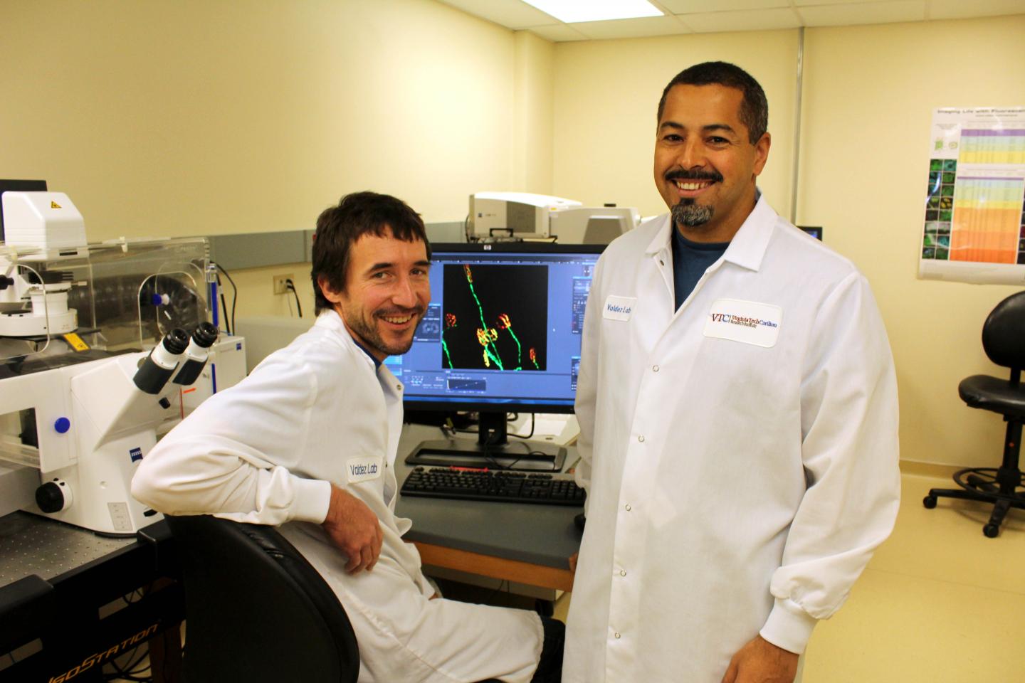 Studying the Synapses