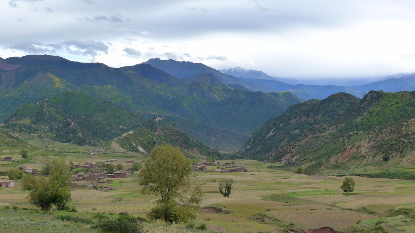 Plant Fossils Show a Paleogene Uplift of SE Tibet