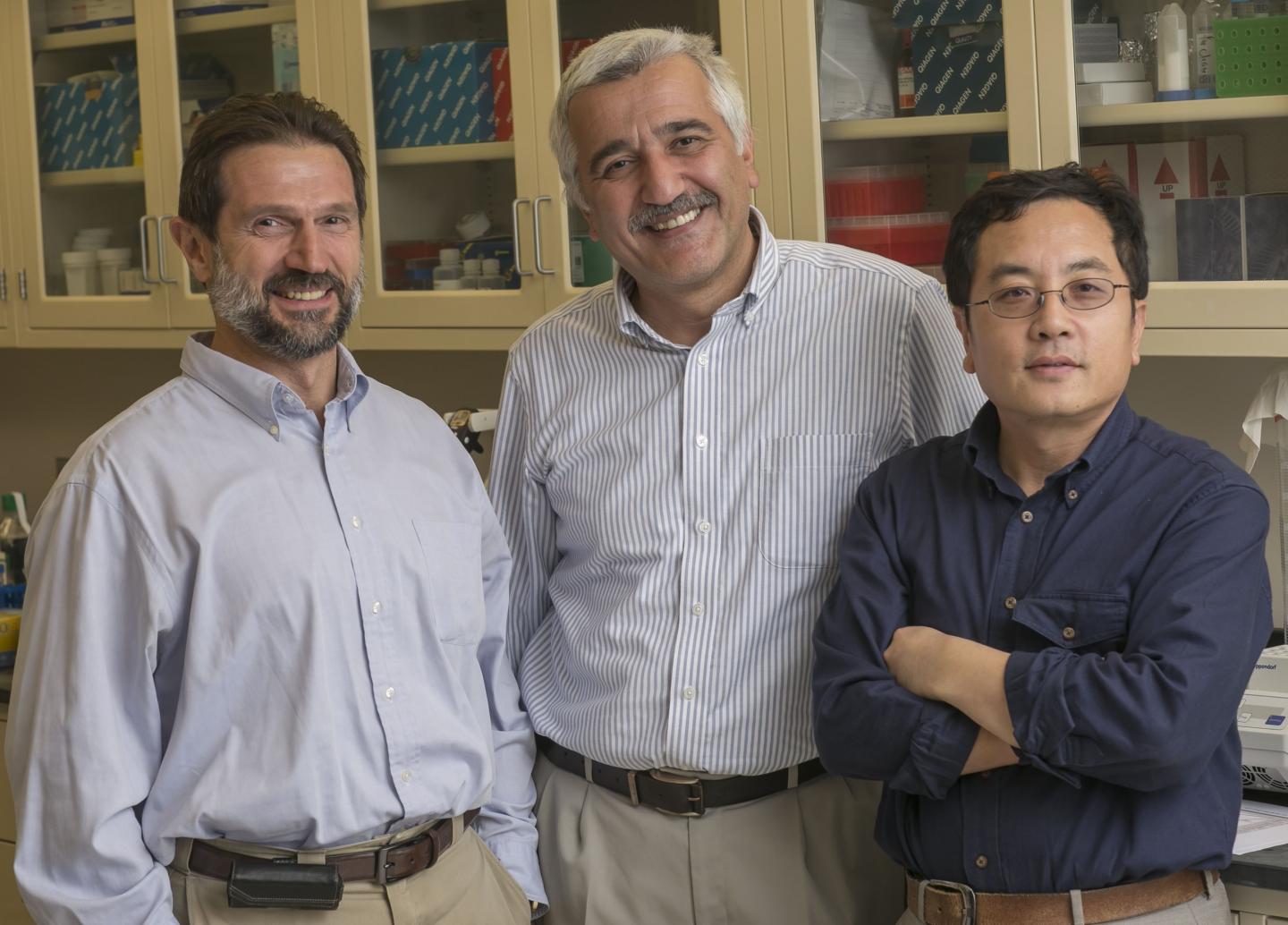 Three of the Four Monell Resea [IMAGE] EurekAlert! Science News Releases