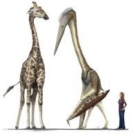 Pterosaur vs Giraffe
