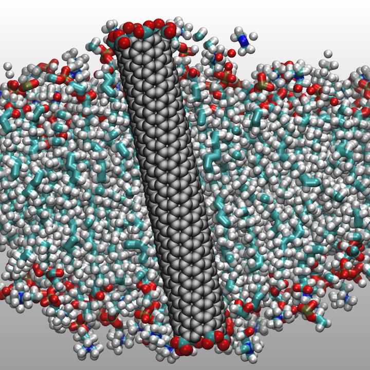 Outperforming Nature's Water Filtration Ability with Nanotubes
