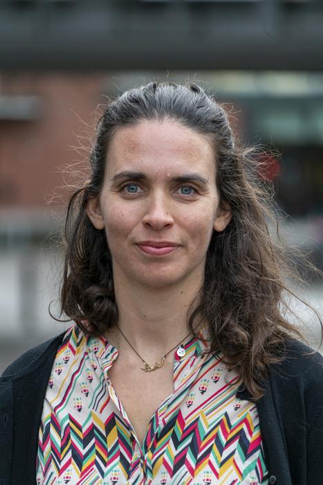 Professor Frances Sprei - Chalmers University of Technology